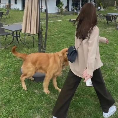 我们一家超完美